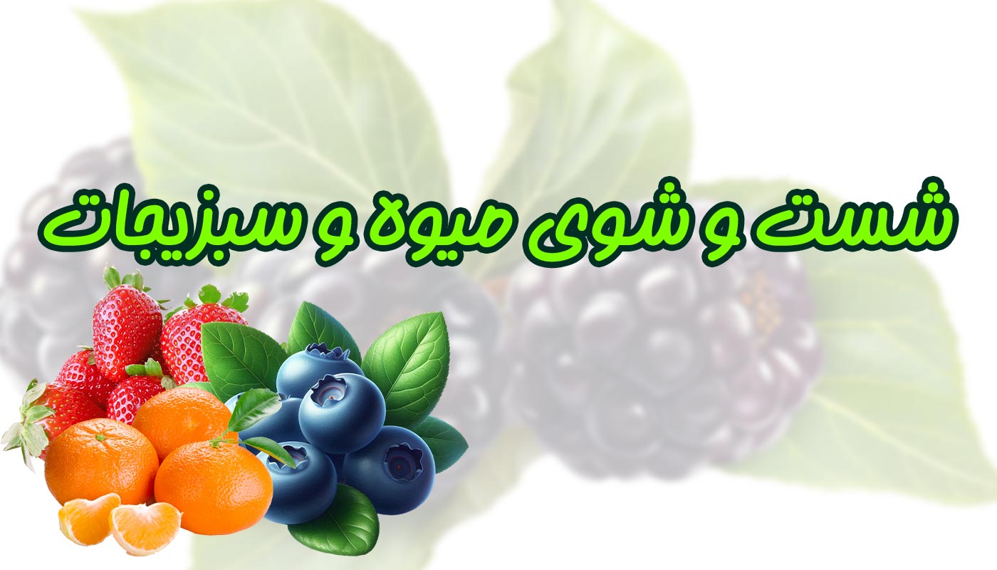 بهترین روش شست و شوی میوه و سبزیجات